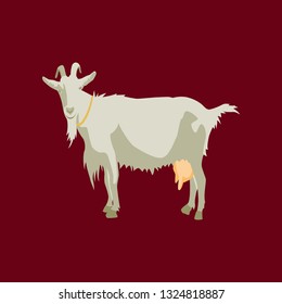 Vector illustration in flat style goat