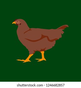 Vector illustration in flat style hen