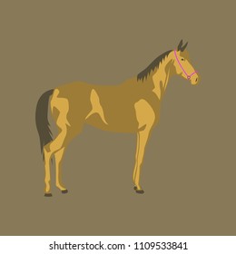 Vector illustration in flat style horse