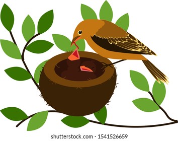 Vector illustration in a flat style. A nest with chicks is located on a tree branch, an adult bird feeds them with a worm