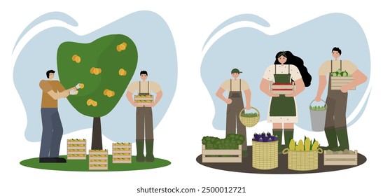 Vector illustration in flat style on white background. Men of different nationalities harvesting peaches and family with their vegetable harvest. For agricultural, seasonal, or family-themed designs