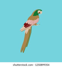 Vector illustration in flat style of parrot