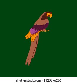 Vector illustration in flat style of parrot