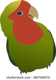 Vector illustration in flat style. Parrot lovebird rose-cheeked fluffy, bright green, red, sits on an invisible branch, playful and cute look, on a white background, a separate element for cards, gift