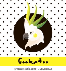 vector illustration in flat style with parrot cockatoo