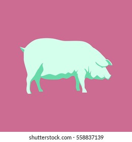 Vector illustration in flat style pig