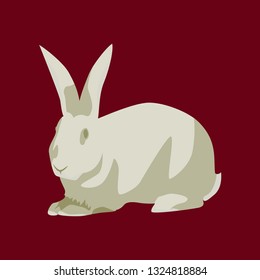 Vector illustration in flat style rabbit