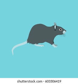 Vector illustration in flat style rat