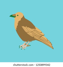 Vector illustration in flat style of raven
