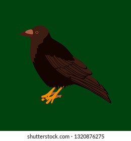 Vector illustration in flat style of raven