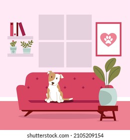 Vector illustration in flat style of room and dog on sofa. Cute illustration of a pet in the apartment. Beautiful card for the holiday of St. Valentine