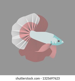Vector illustration in flat style rooster fish