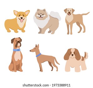 Vector illustration in flat style, set of funny purebred dogs, isolated on a white background. Cute dogs in collars stand and sit.