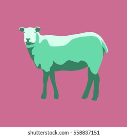 Vector illustration in flat style sheep