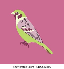 Vector illustration in flat style of sparrow