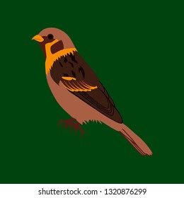 Vector illustration in flat style of sparrow