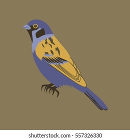 Vector illustration in flat style of sparrow
