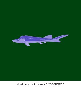 Vector illustration in flat style sturgeon