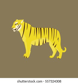 Vector illustration in flat style tiger