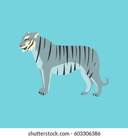 Vector illustration in flat style tiger