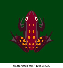Vector illustration in flat style toad