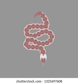 Vector illustration in flat style viper