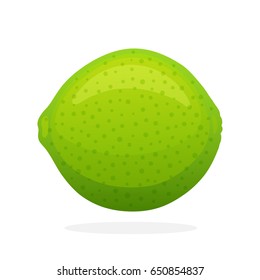 Vector illustration in flat style. Whole lime. Healthy vegetarian food. Citrus fruits. Decoration for greeting cards, prints for clothes, posters, menus
