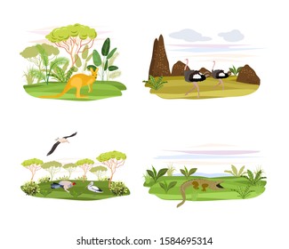  Vector illustration in flat style.Concepts of nature. Ostriches, crocodile and kangaroo on a background of trees.