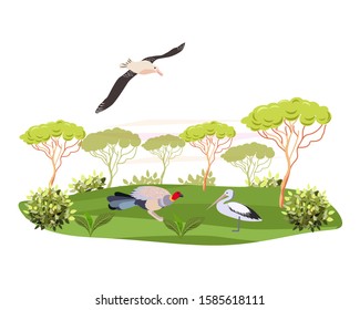 Vector illustration in flat style.Concepts of nature. Birds on a background of trees.