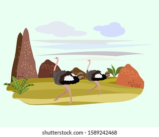 Vector illustration in flat style.Concepts of nature. Two running ostriches on a background of mountains and plants.