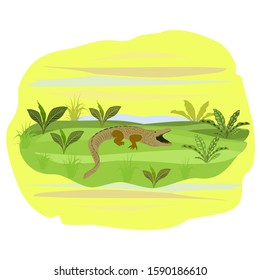 Vector illustration in flat style.Concepts of nature.Crocodile on the background of trees and plants.