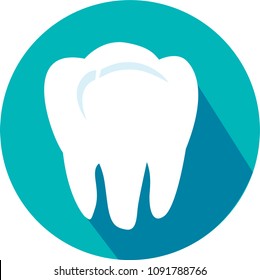 Vector illustration in flat style.Dental care.stomatology molar a great set of dental tools and equipment.