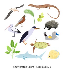  Vector illustration in flat style.Funny cartoon mammals, reptiles, birds icons of Australia isolated on white background.

