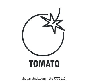Vector Illustration Flat Tomato isolated on white background , Raw materials fresh vegetable.