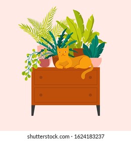 Vector illustration in flat trendy style - simple minimal interior with green decorative houseplants in pots and planters and cat - urban jungle illustration 