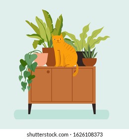 Vector illustration in flat trendy style - simple minimal interior with green decorative houseplants in pots and planters and cat - urban jungle illustration 