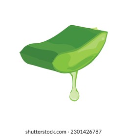 Vector illustration flatlay (top view) of Aloe vera cutting leaves with sliced and gel drops isolated on white background. Aloe vera plant herb nature