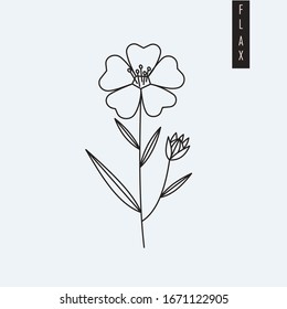 Vector illustration of flax flower drawn in outline style isolated on grey background. Herbal botanic drawing of linen plant for print, logo, emblem. Nutritional supplement or textile fiber theme.