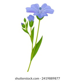 Vector illustration, Flax, also known as common flax or linseed, isolated on white background.