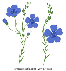 Vector illustration of flax plant in bloom