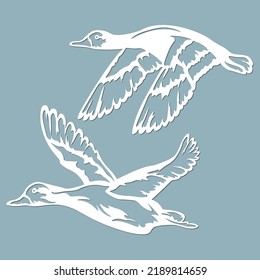 Vector illustration. The flight of the drake and the duck. Wildlife. Vector isolated illustration for laser cutting. Tattoo. Logo...