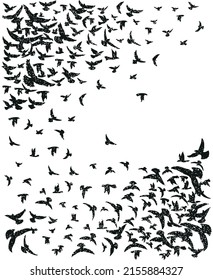 Vector illustration of flock. Art depicting stylized birds in flight.