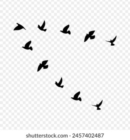 Vector illustration of flock of birds on transparent background 