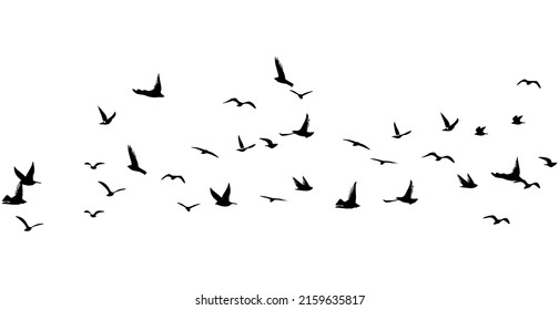 Vector Illustration Of A Flock Of Flying Birds On A White Background.