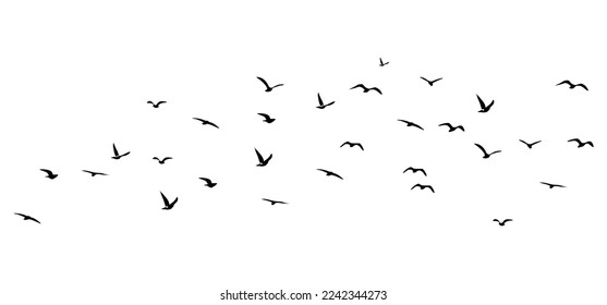 Vector illustration of a flock of flying birds on a white background.