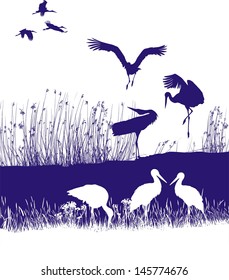 vector illustration of a flock of storks on the shore 