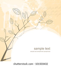 vector illustration of a floral background