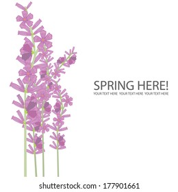 Vector illustration of a floral background 