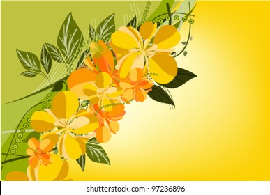 vector illustration of  floral background