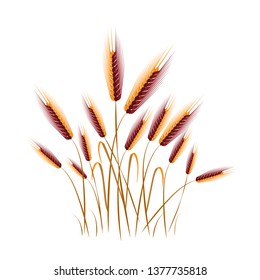 Vector illustration of floral background. flower grass in white background